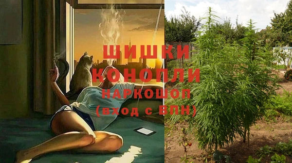 mdma Гвардейск