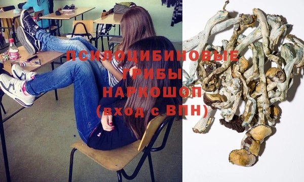 марки lsd Переславль-Залесский