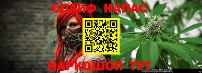 дживик Тулун