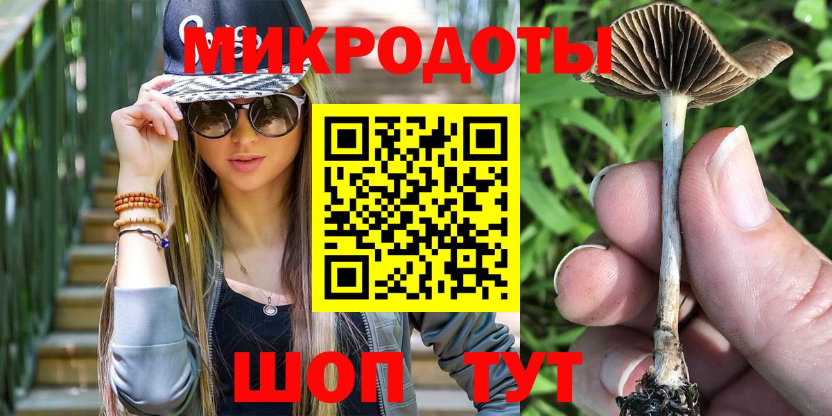 Галлюциногенные грибы Cubensis Черемхово