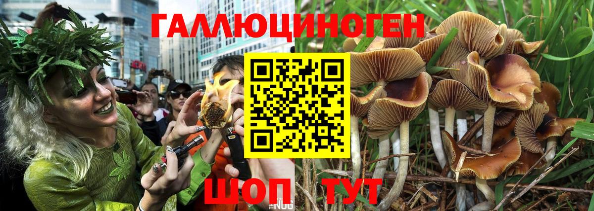 Черемхово  Галлюциногенные грибы Cubensis  купить  цена  Вход с VPN 